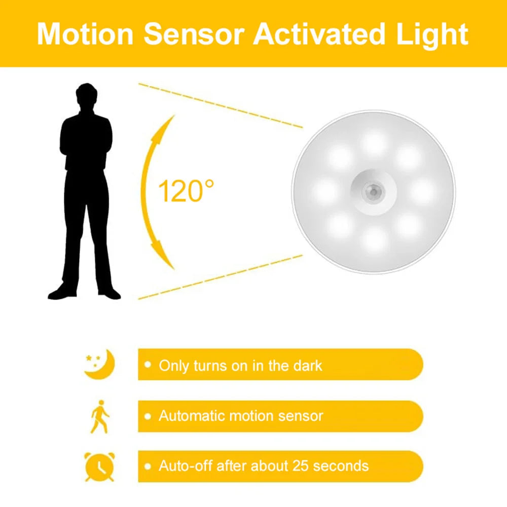 Motion Sensor Light